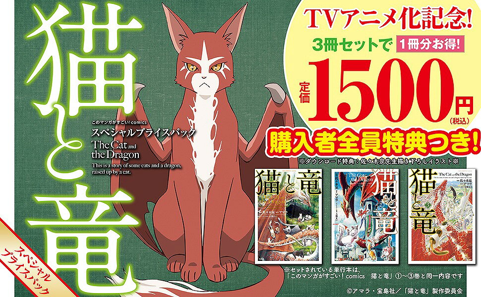 楽天ブックス: 猫と竜 スペシャルプライスパック - 佐々木 泉