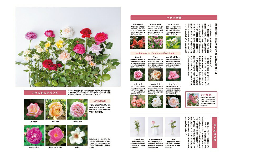 図鑑　辞書　生花　差し花　四季の花 全10冊＋解説＋はなてちょう 図鑑辞書生花差し花四季の花 全10冊＋解説＋はなてちょう