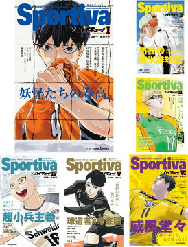 ショーセツバン 全巻 Sportiva ハイキュー セット ビジュアルボード