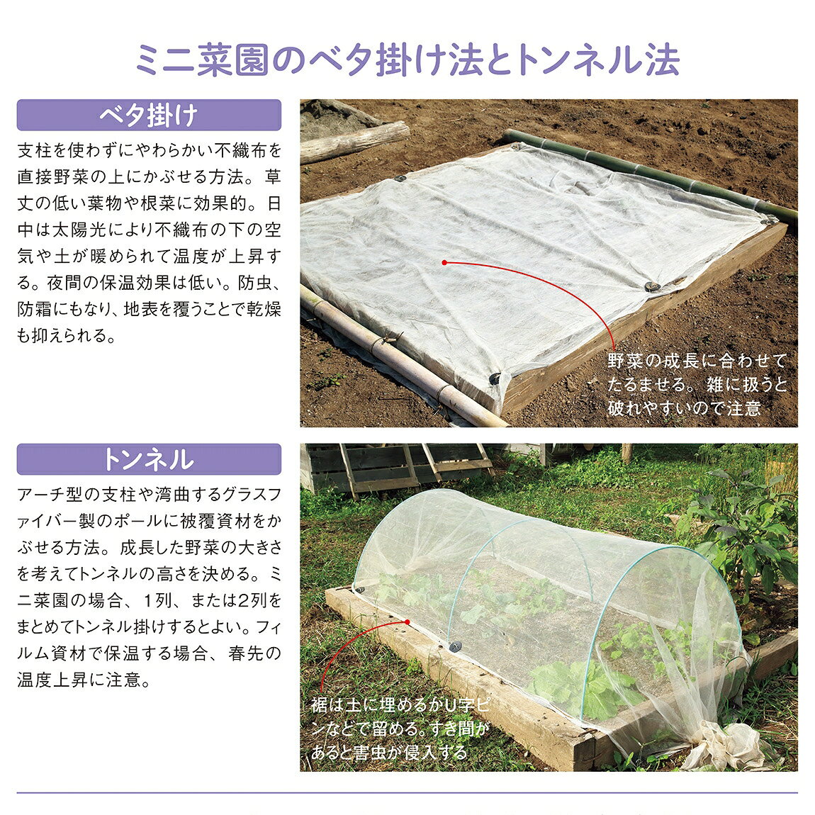 楽天ブックス: 育てやすい＆たくさんとれる 一坪ミニ菜園入門