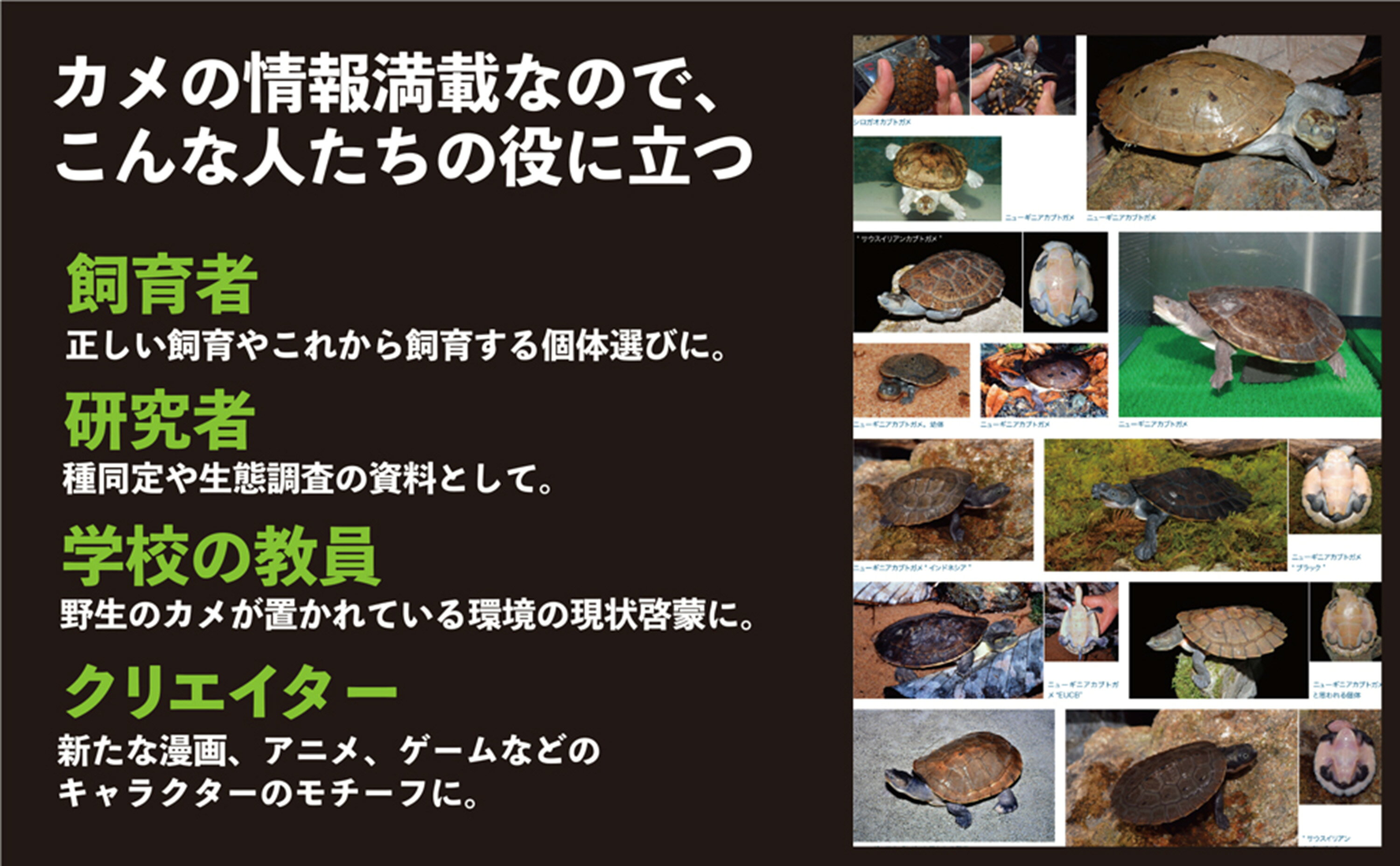楽天ブックス: カメ大図鑑 潜頸亜目・曲頸亜目 - 水棲種と陸棲種の分類