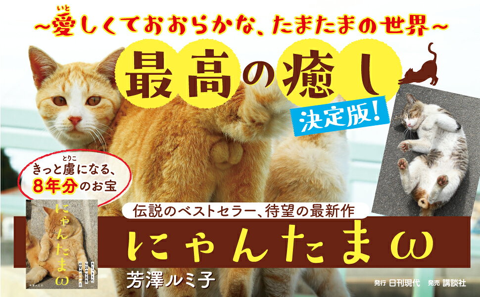 楽天ブックス: にゃんたまω - 芳澤 ルミ子 - 9784065371763 : 本