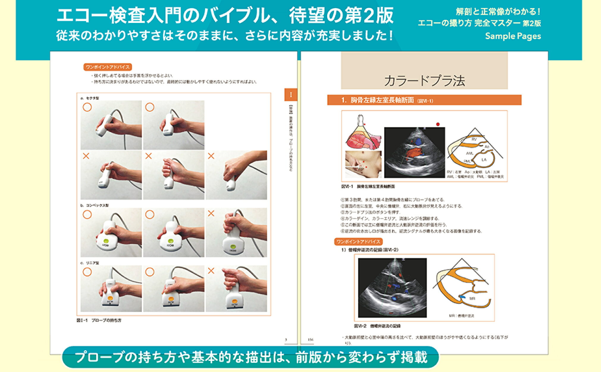 楽天ブックス: 解剖と正常像がわかる！ エコーの撮り方 完全