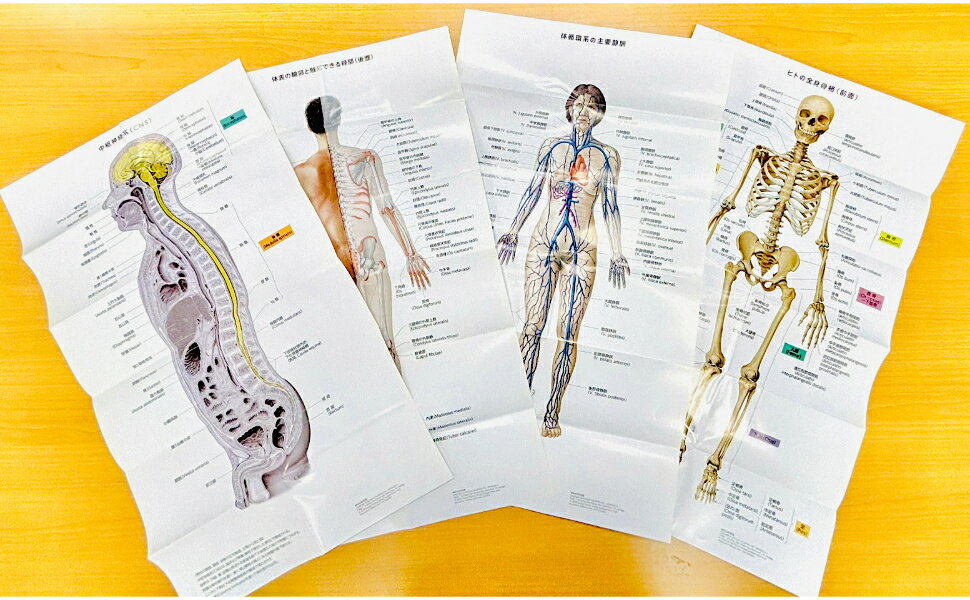 楽天ブックス: 解剖生理学図鑑 - ヒトのからだの全てが初心者