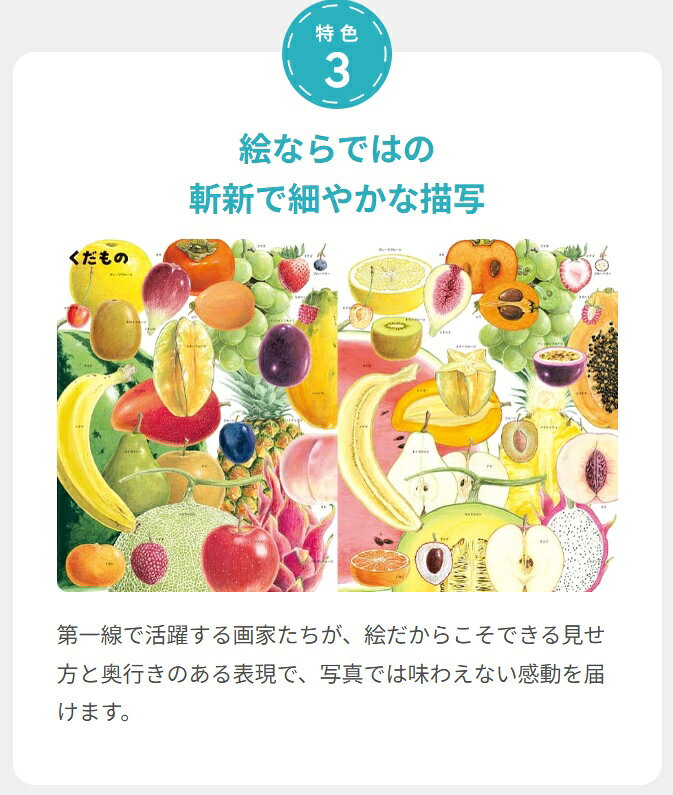 楽天ブックス: いきものづくし ものづくし 12冊セット