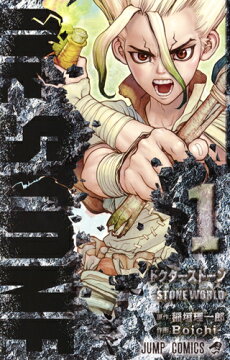 楽天ブックス: Dr.STONE 公式ファンブック 科学王国事典 - Boichi
