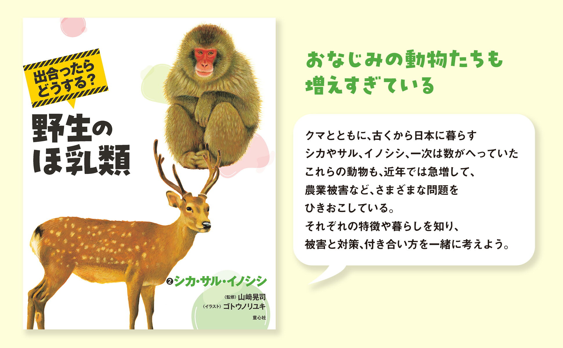 楽天ブックス: 出合ったらどうする？ 野生のほ乳類（全3巻） - 山崎