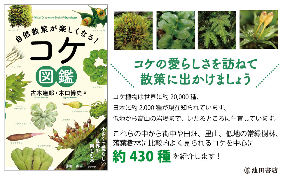 楽天ブックス: 自然散策が楽しくなる！ コケ図鑑 - 木口 博史 - 9784262167589 : 本