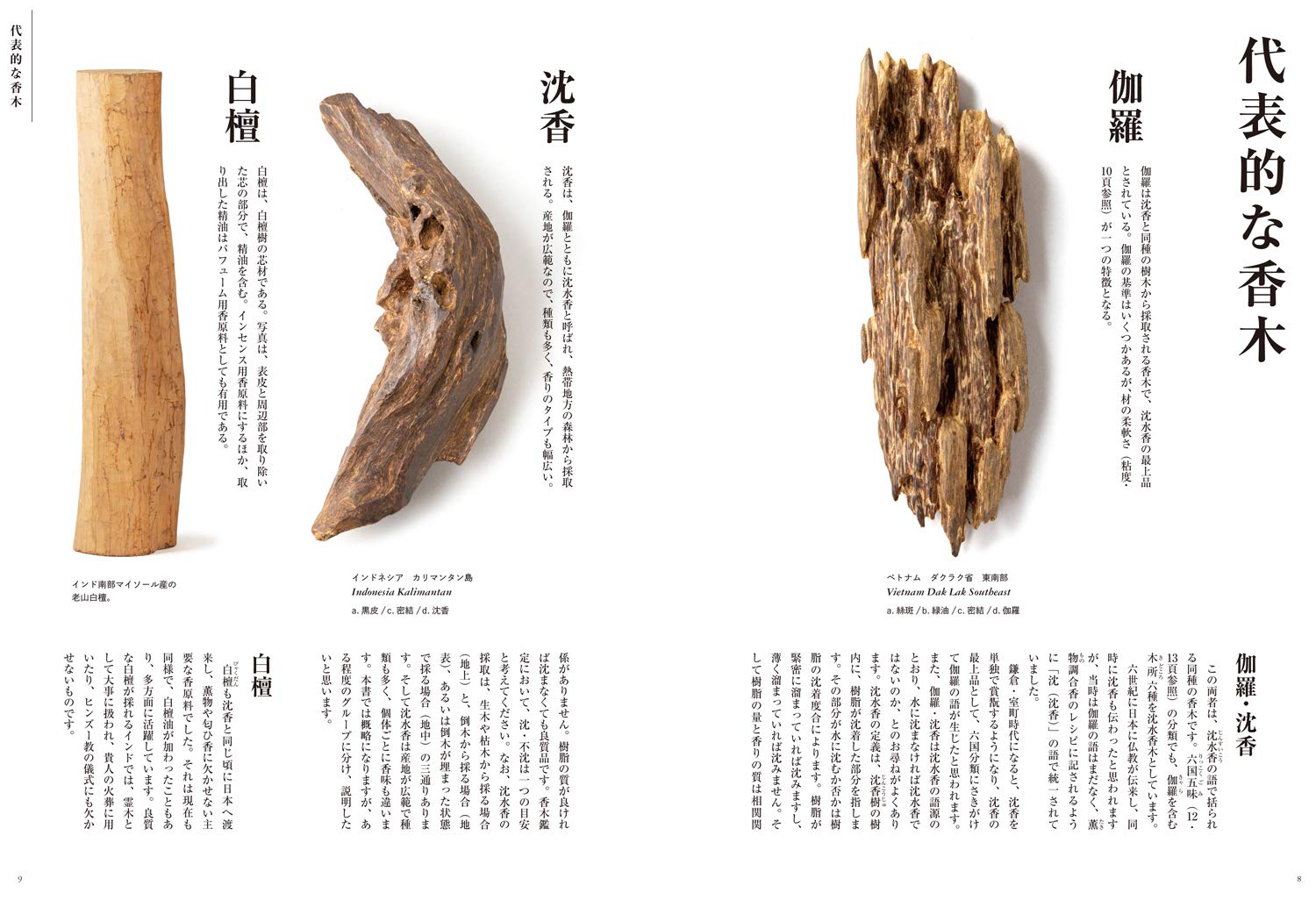 楽天ブックス: 香木のきほん図鑑 - 種類と特徴がひと目でわかる - 山田 