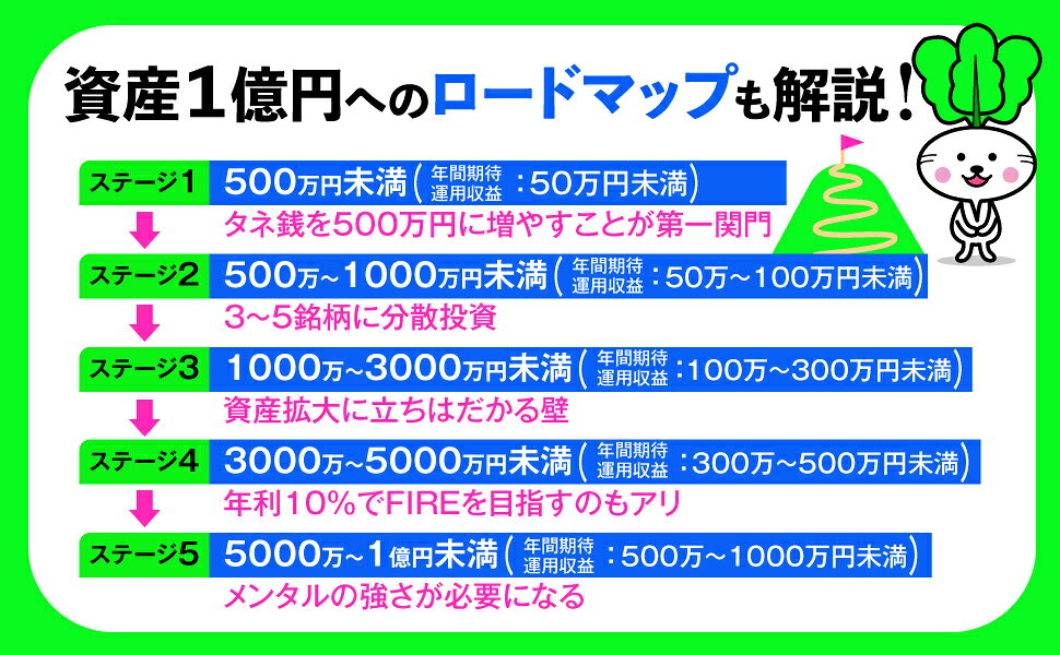 楽天ブックス: 賢明なる個人投資家への道 - かぶ1000 - 9784478114827 : 本