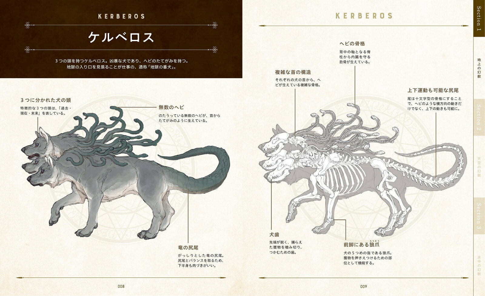 楽天ブックス 美しい幻獣生態骨格図鑑 緑川 美帆 9784773061451 本