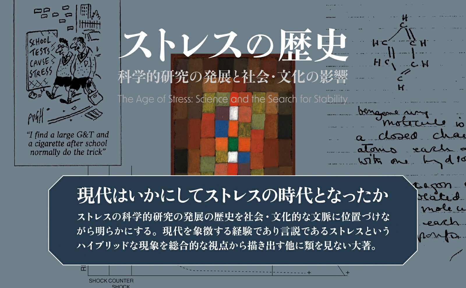 楽天ブックス: ストレスの歴史 - 科学的研究の発展と社会・文化
