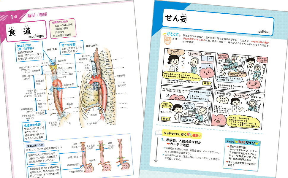 楽天ブックス: かんテキ 消化器 - 患者がみえる新しい「病気の教科書
