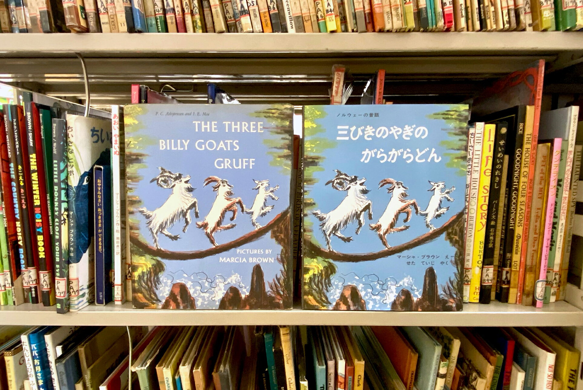 16冊セット　三びきのやぎのがらがらどん ノルウェーの昔話 三びきのやぎのがらがらどん ノルウェーの昔話 – niiiwa