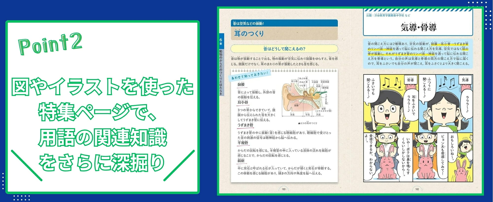 楽天ブックス: マンガでわかる！中学入試に役立つ教養 動物・植物100 
