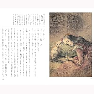 楽天ブックス: 少年少女世界名作の森（全20巻セット） - 9784082859022 