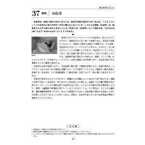 楽天ブックス: 1日1ページ、読むだけで身につくからだの教養365