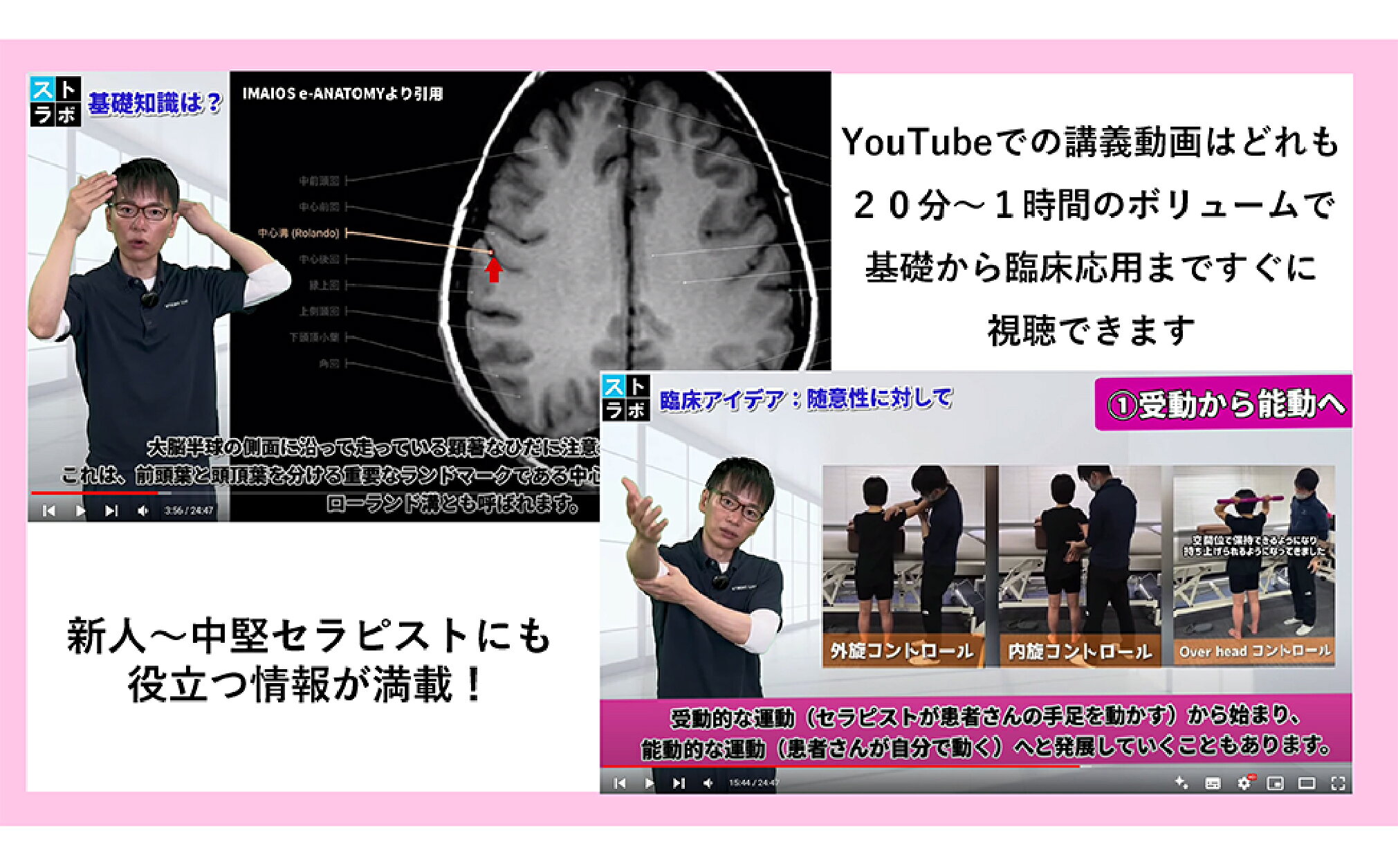 楽天ブックス: 脳の機能解剖とリハビリテーション - 金子 唯史