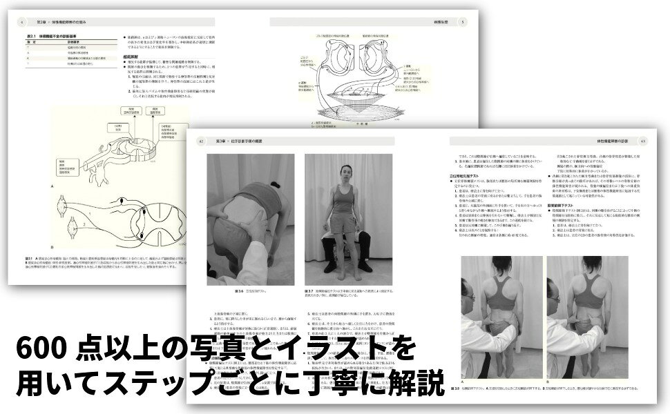 楽天ブックス: エビデンスに基づいた徒手療法 普及版 - 症状に焦点を
