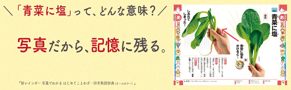 楽天ブックス: 新レインボー 写真でわかる はじめてことわざ・四字熟語