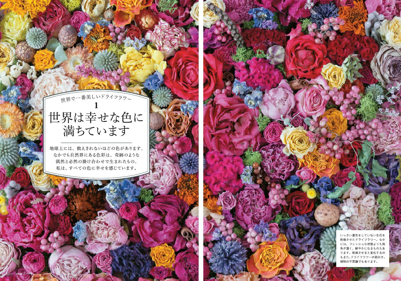 楽天ブックス: 生花を超えた魔法の花色 世界で一番美しいドライ