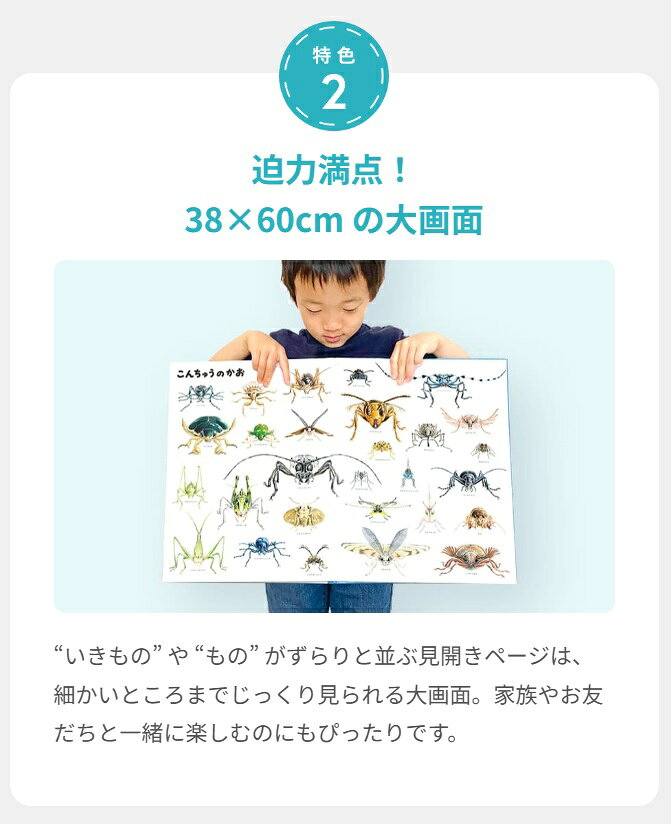 いきものづくし 1-12巻セット いきものづくし ものづくし 12冊セット／松岡達英、田中豊美