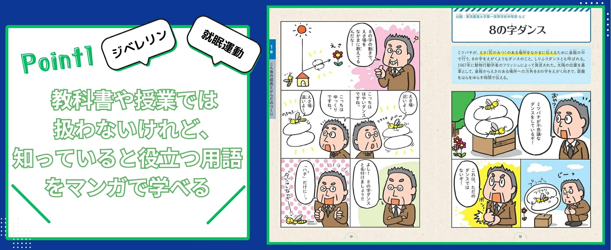 楽天ブックス: マンガでわかる！中学入試に役立つ教養 動物