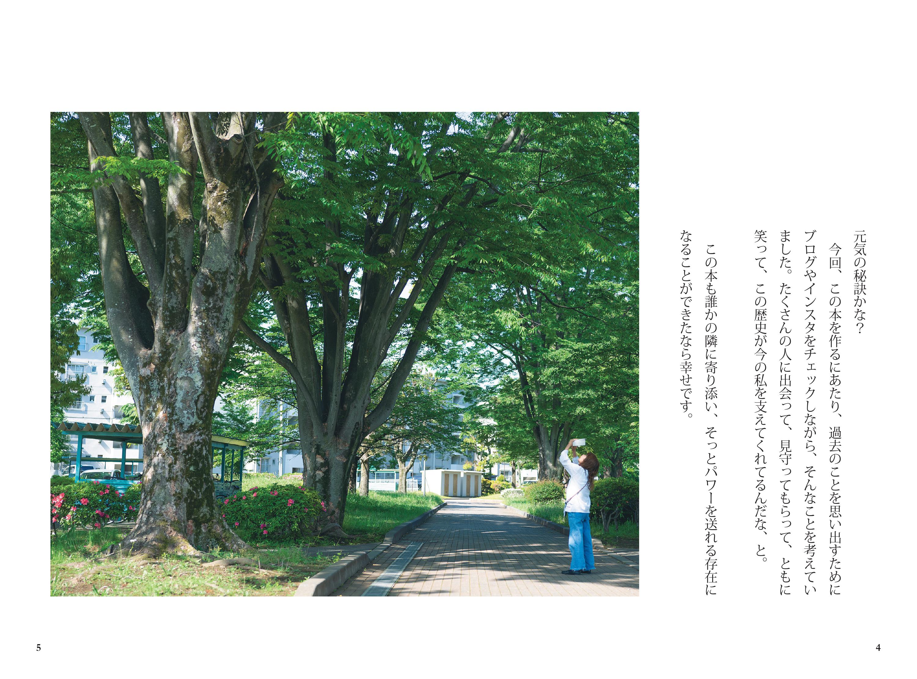 活動歴および当時の関連ビジュアル記録