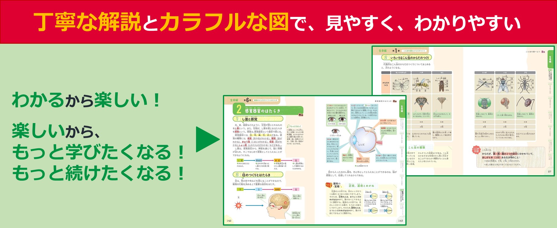 楽天ブックス: 小学総合的研究 わかる理科 - 旺文社 - 9784010115022 : 本