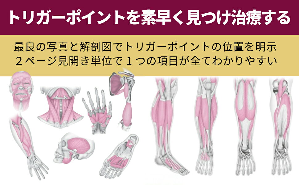 楽天ブックス: 筋筋膜トリガーポイント ポケットアトラス - 全て