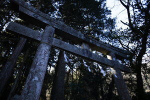 画像8