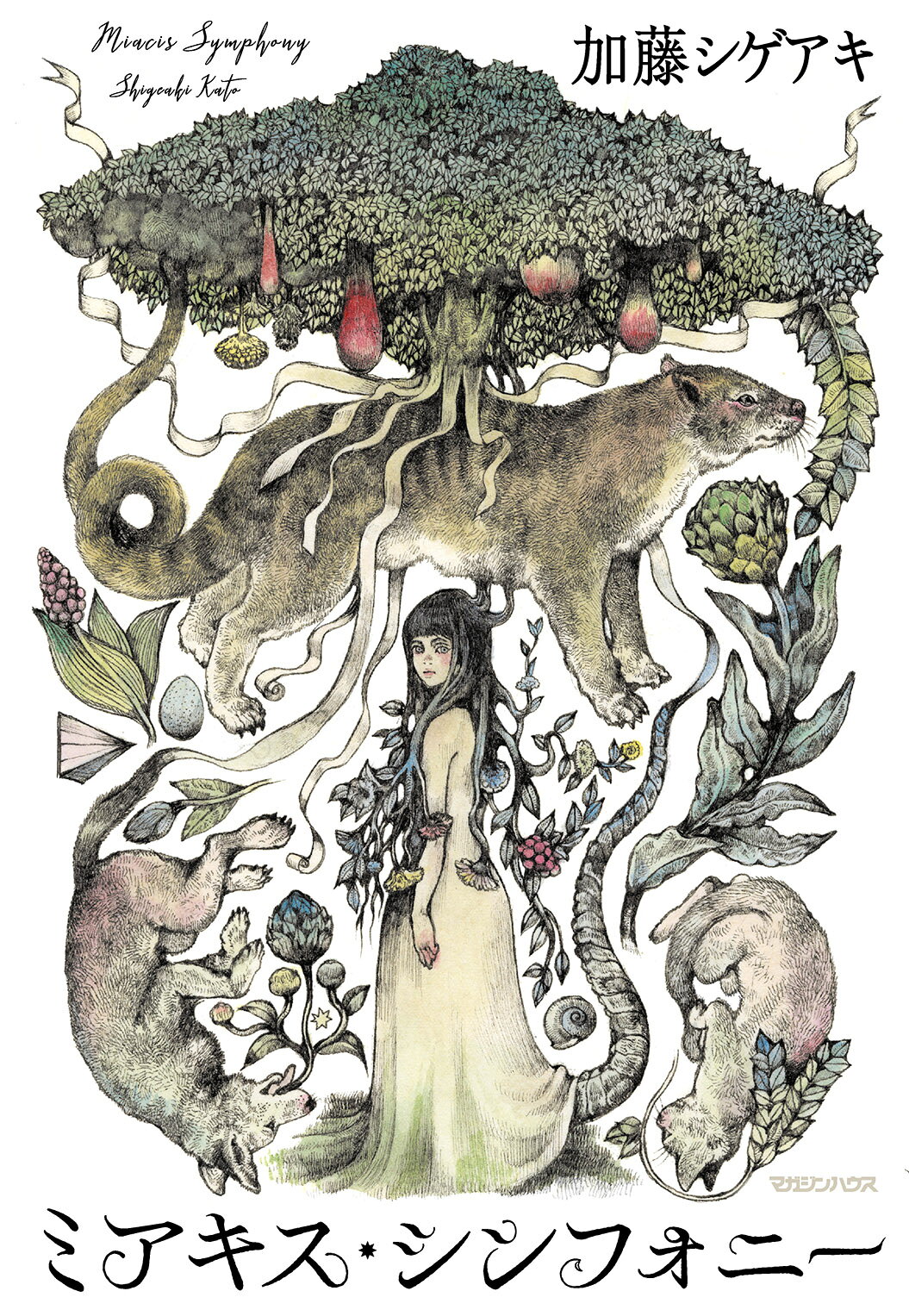 miacis_cover_OL_a555f1309b.jpg