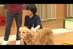 thumbnail_animaring_sub1_80cea
