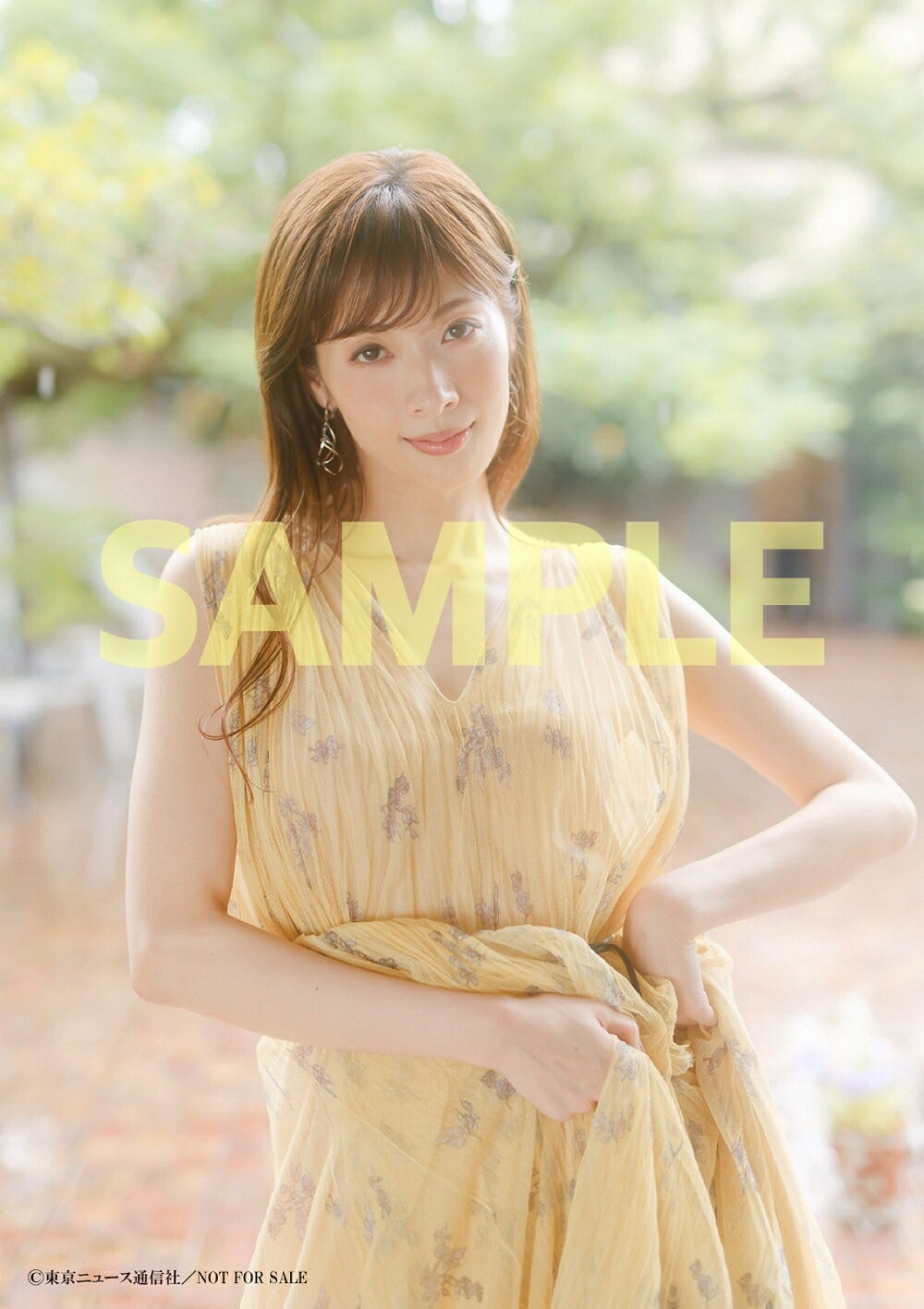 演芸名人二十六夜　全13巻 鑑賞ガイド 演芸名人二十六夜 CD全13巻 鑑賞ガイド付き